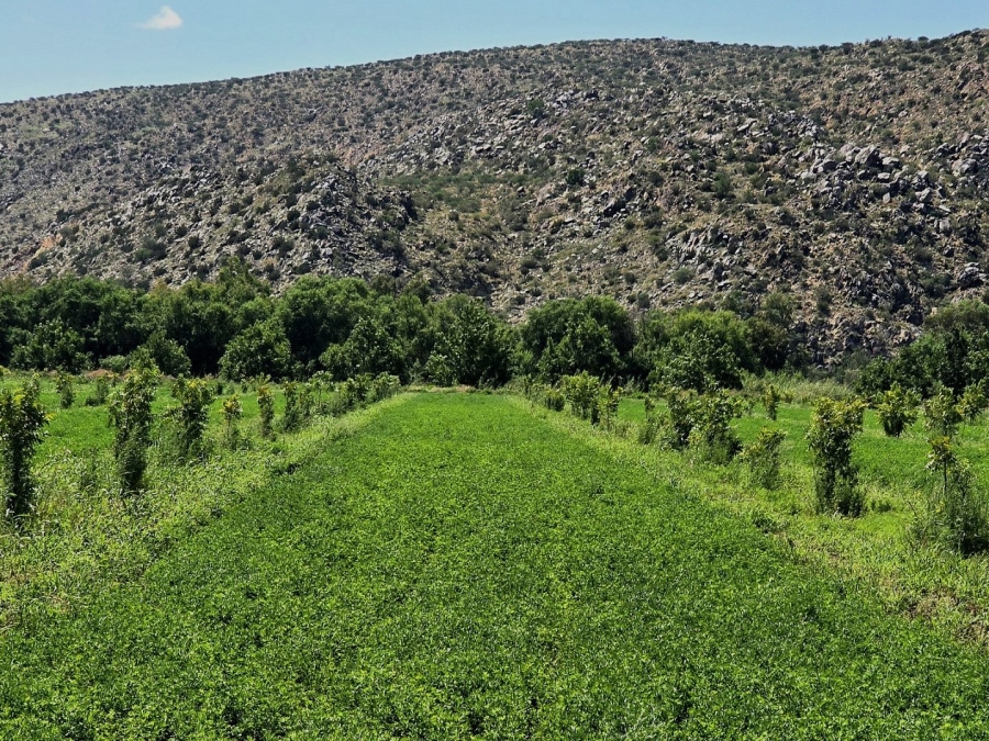 Commercial Property for Sale in Groblershoop Northern Cape